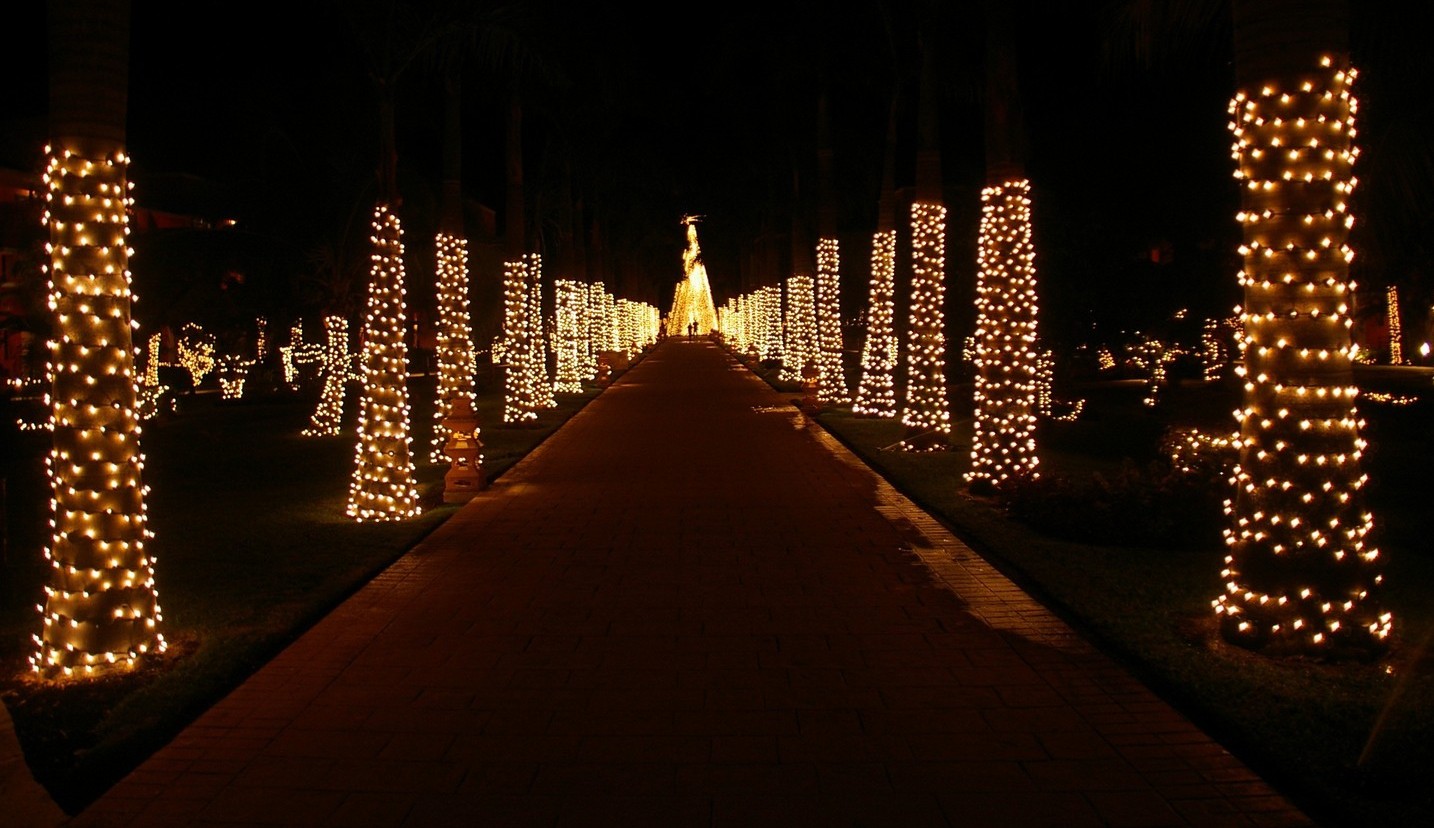 pic-0000
