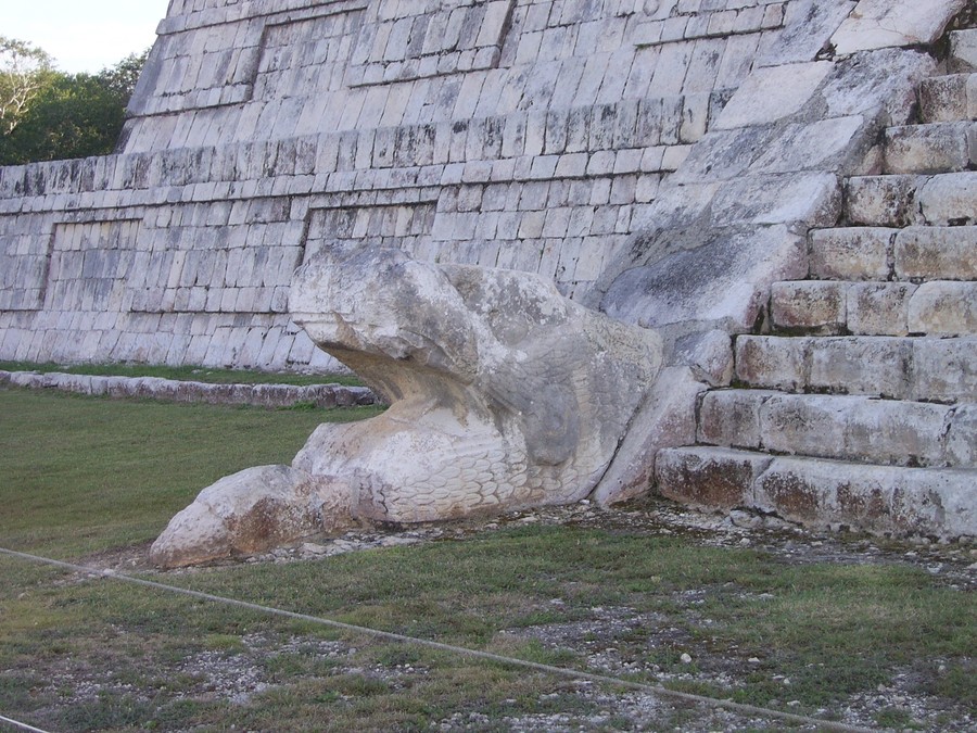 110